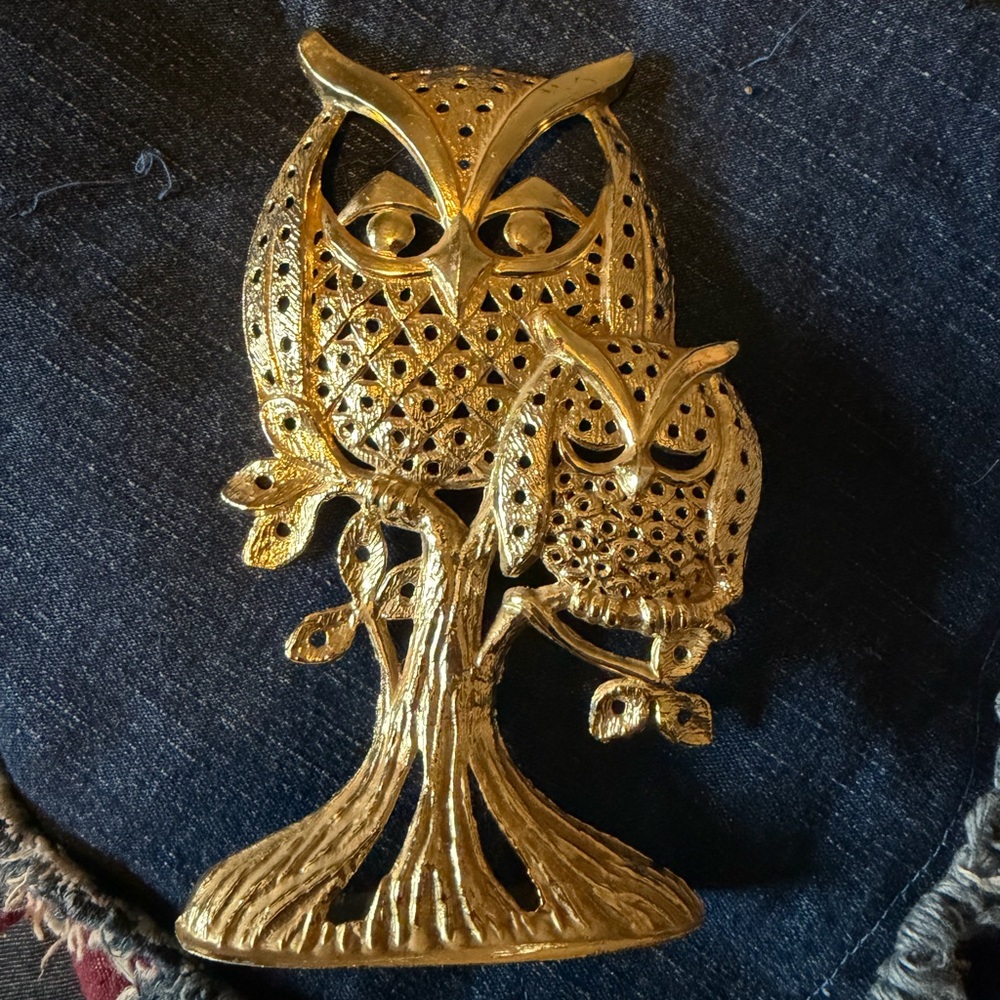Torino Owl Earring Holder